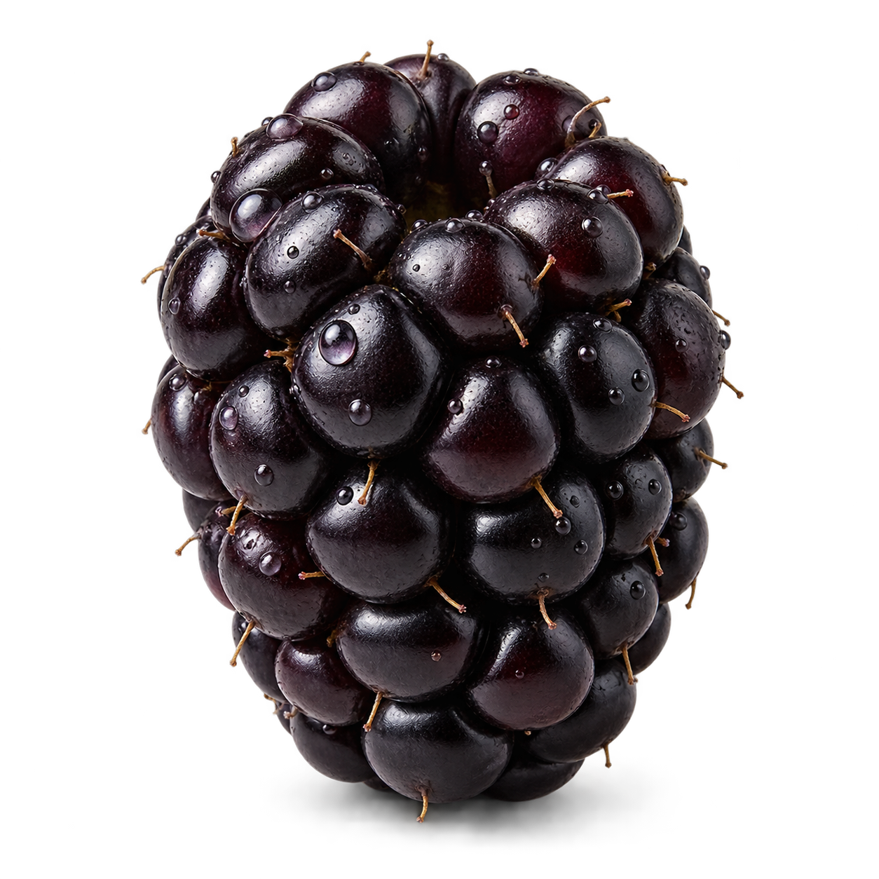 A ripe blackberry, photographed in close detail.
